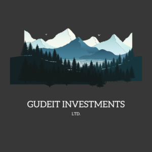 thumbnail_GUDEIT INVESTMENTS thumbnail_GUDEIT INVESTMENTS